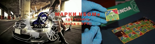 стаф Аркадак