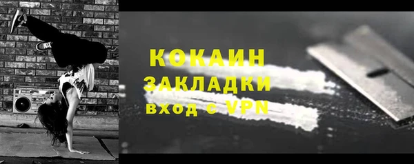 стаф Аркадак