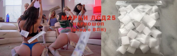 стаф Аркадак