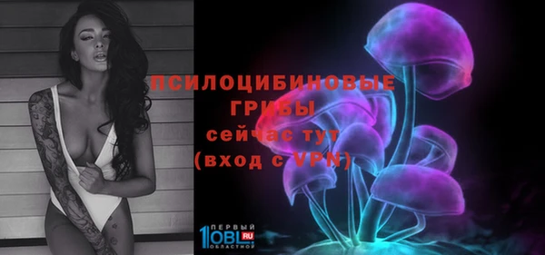 apvp Арсеньев