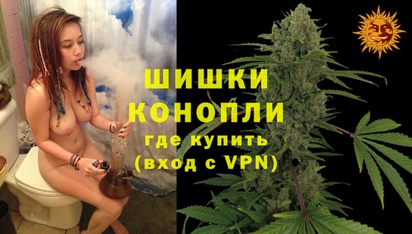 трава Армянск