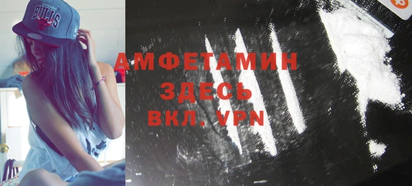 стаф Аркадак