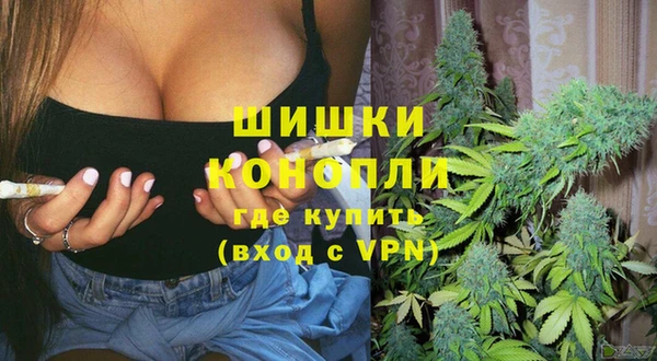 стаф Аркадак