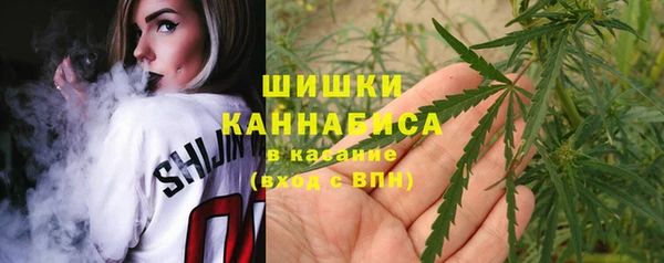 стаф Аркадак